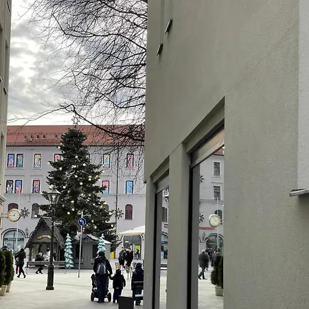 Apartment Goldenkey Am Rathausplatz Neu Eingerichtet